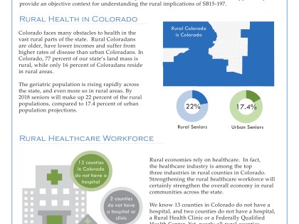 Policy Brief Example